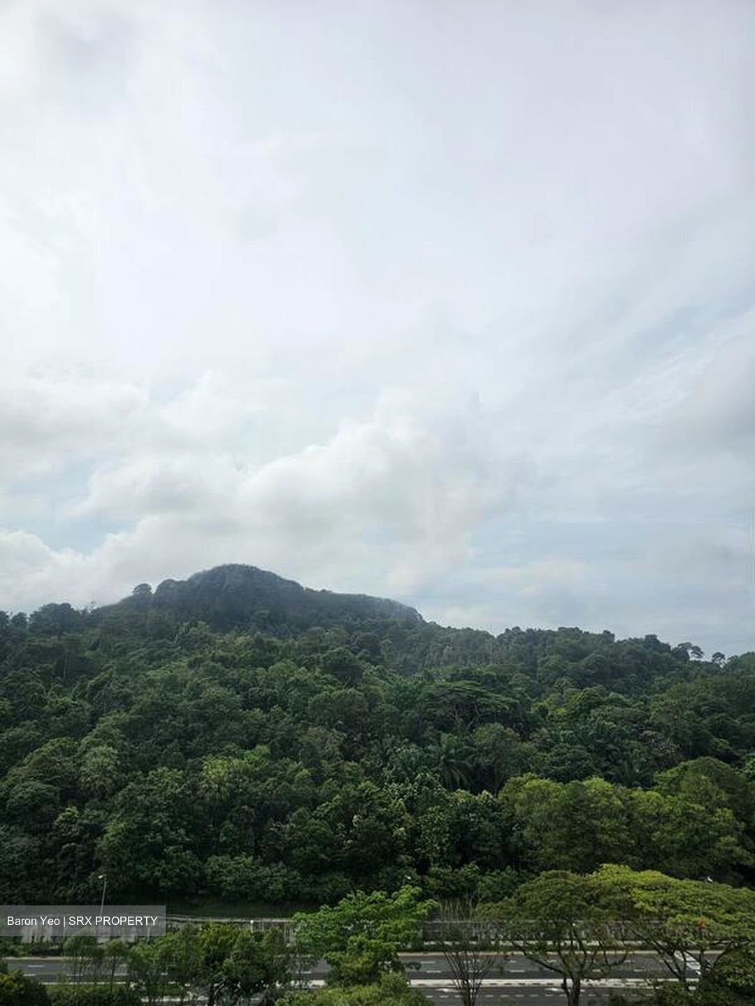 The Skywoods (D23), Condominium #456304201